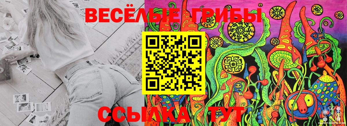 купить наркотики цена  Галлюциногенные грибы Psilocybine cubensis  Вход с VPN  Бузулук  Псилоцибиновые грибы MAGIC MUSHROOMS 